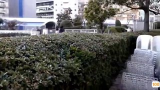飞花溅玉录母乳 举高高，我就喜欢玩花的